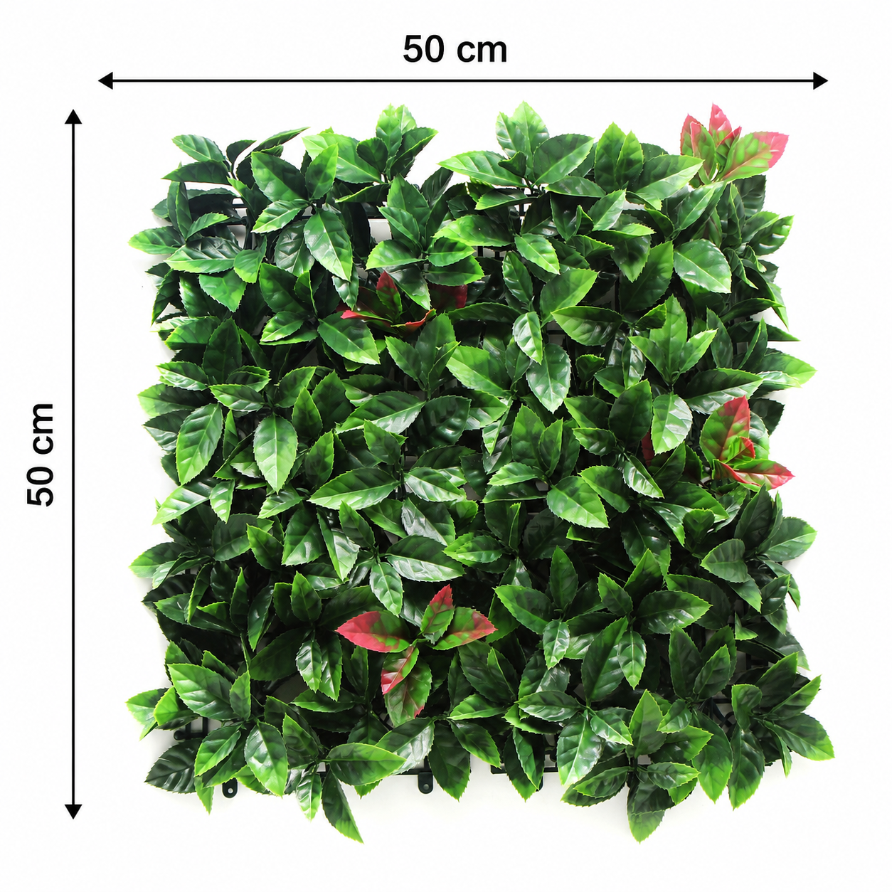 Artificial green wall panel with dimensions on a white background
