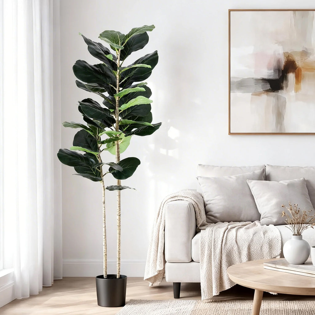 Fiddle leaf fig plant in a living room setting with a sofa and abstract art on the wall.