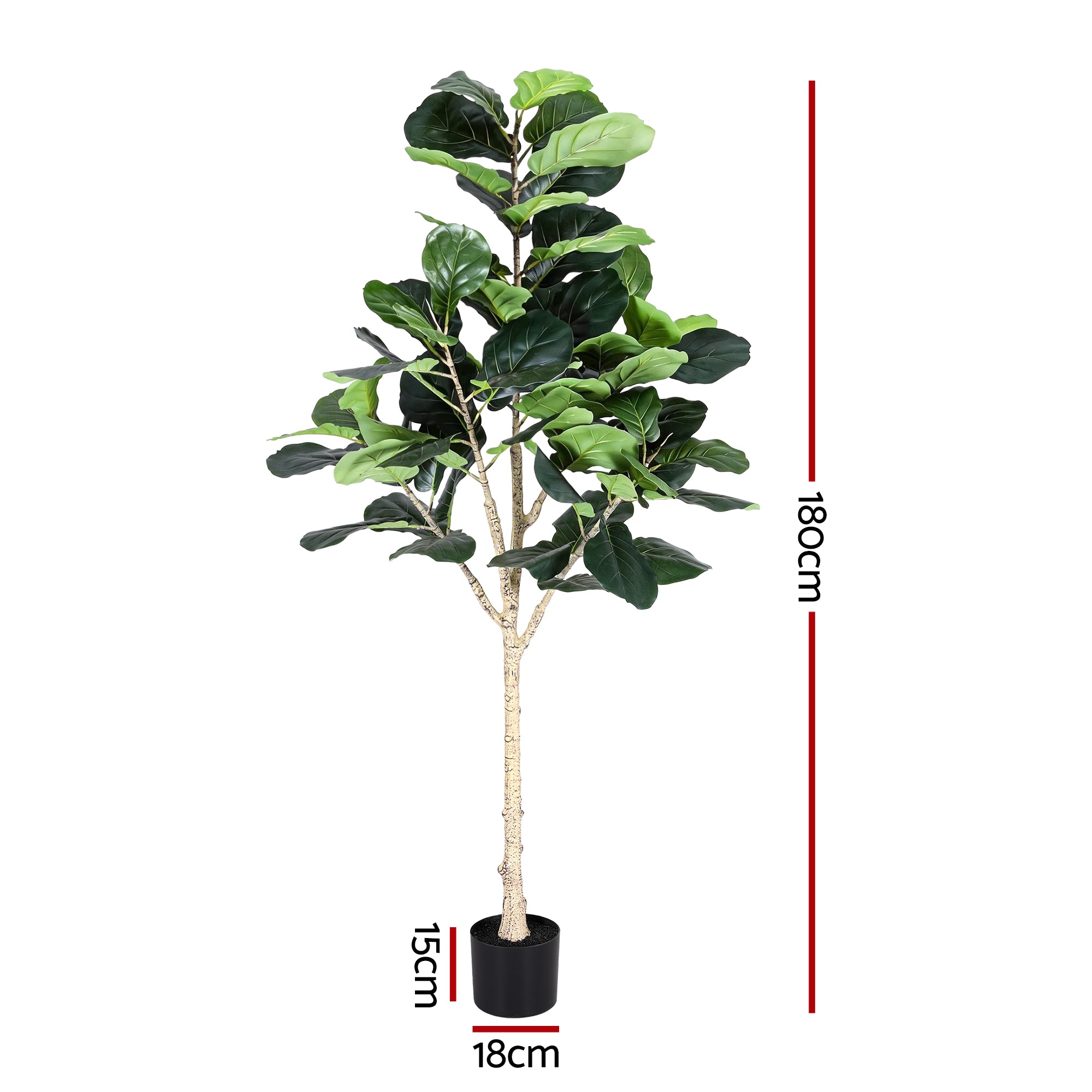 Artificial fiddle leaf fig plant with dimensions on a white background