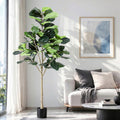 Fiddle leaf fig plant in a living room with a sofa and artwork on the wall.
