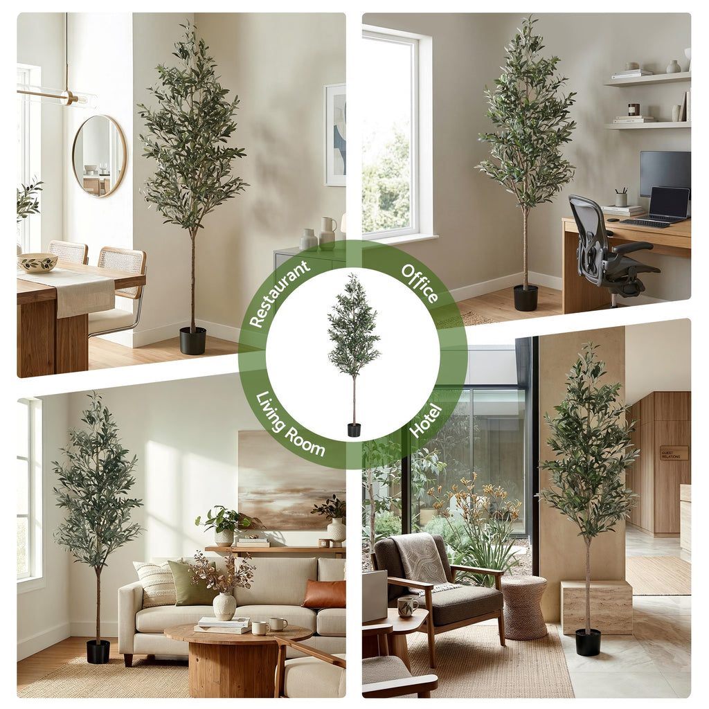 Collage of indoor trees in various settings including a restaurant, office, living room, and hotel.