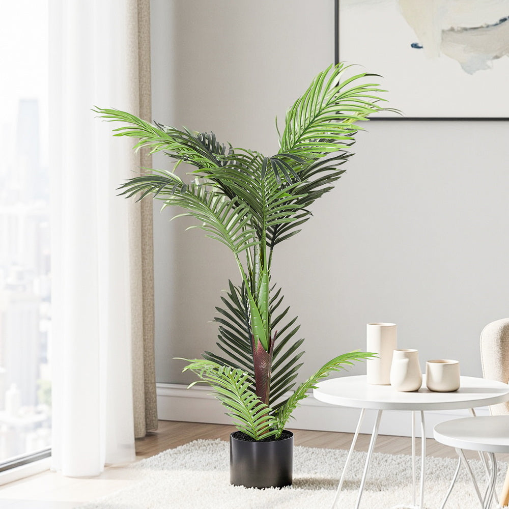 Potted plant in a modern living room with a white table and decor.