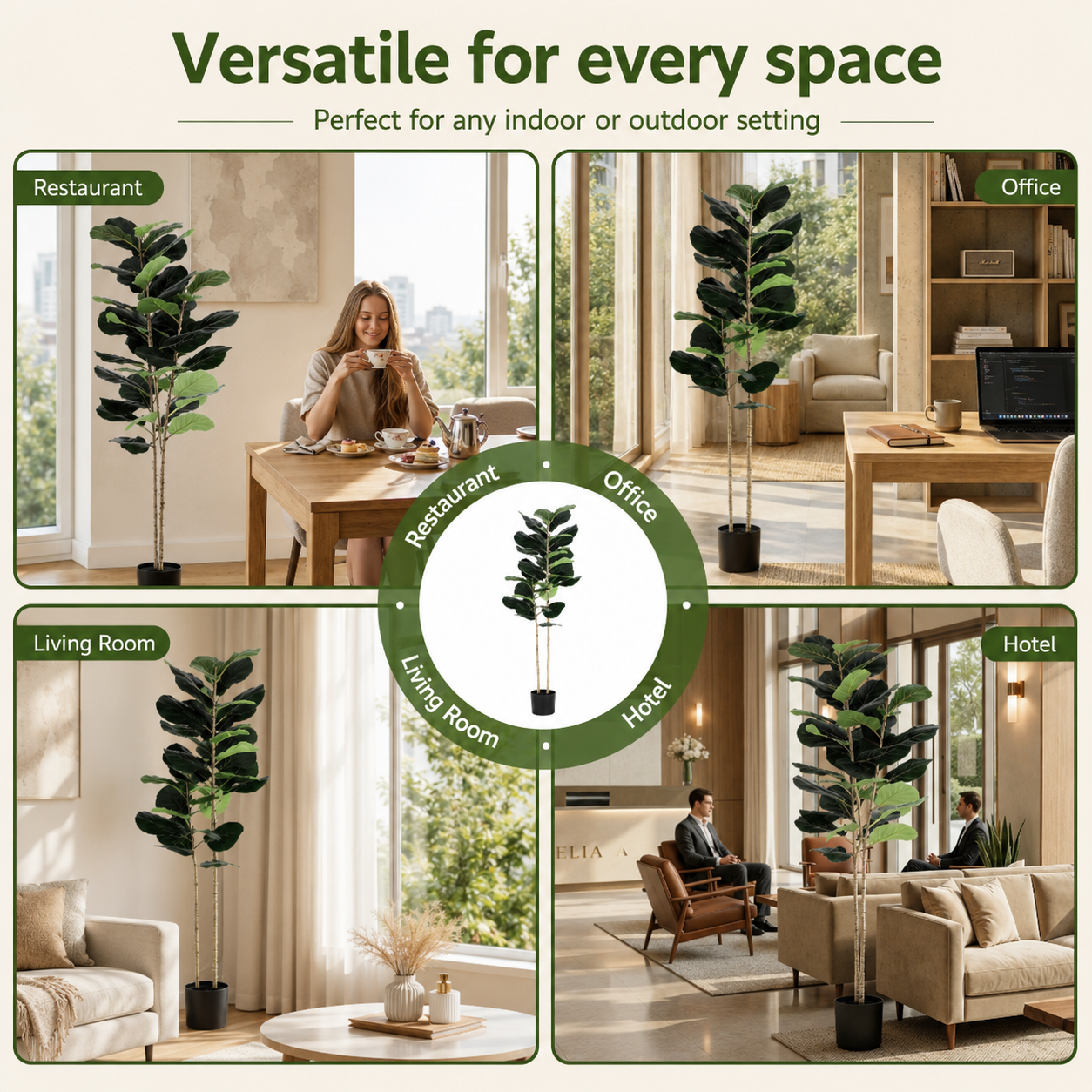 A promotional collage showing a tall potted fiddle-leaf fig plant in several indoor settings, including restaurant, office, living room, and hotel. The image includes the text 'Versatile for every space' and a circular label pointing to Restaurant, Office, Living Room, Hotel, and Hallway.