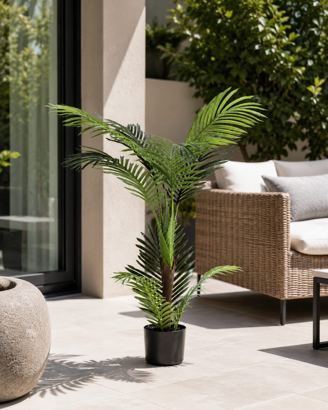 Potted plant on a patio with a wicker chair and outdoor furniture in the background
