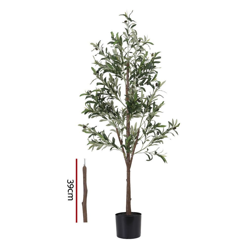 Artificial olive tree with a measurement stick on a white background