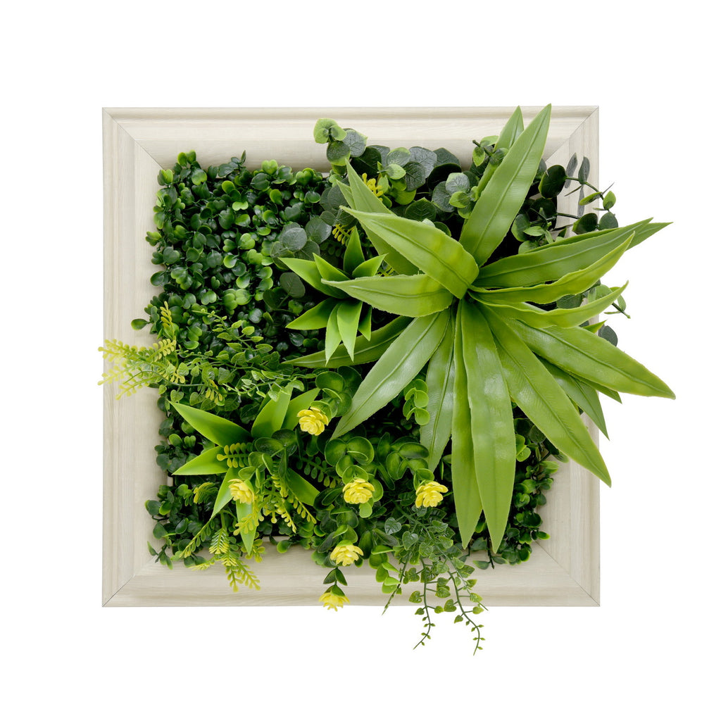 Artificial green wall with various plants in a decorative frame on a white background