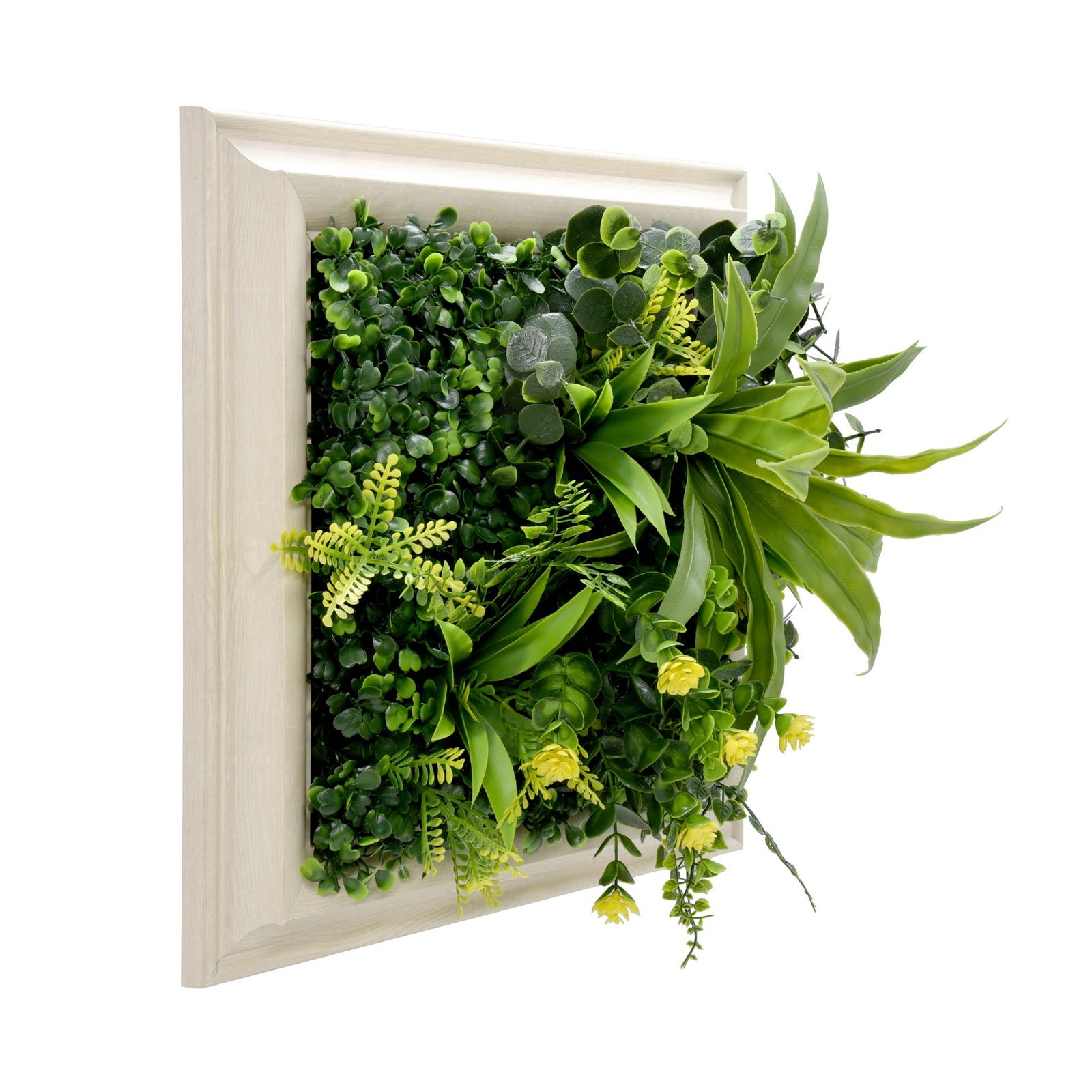 Artificial green wall with plants in a white frame on a white background