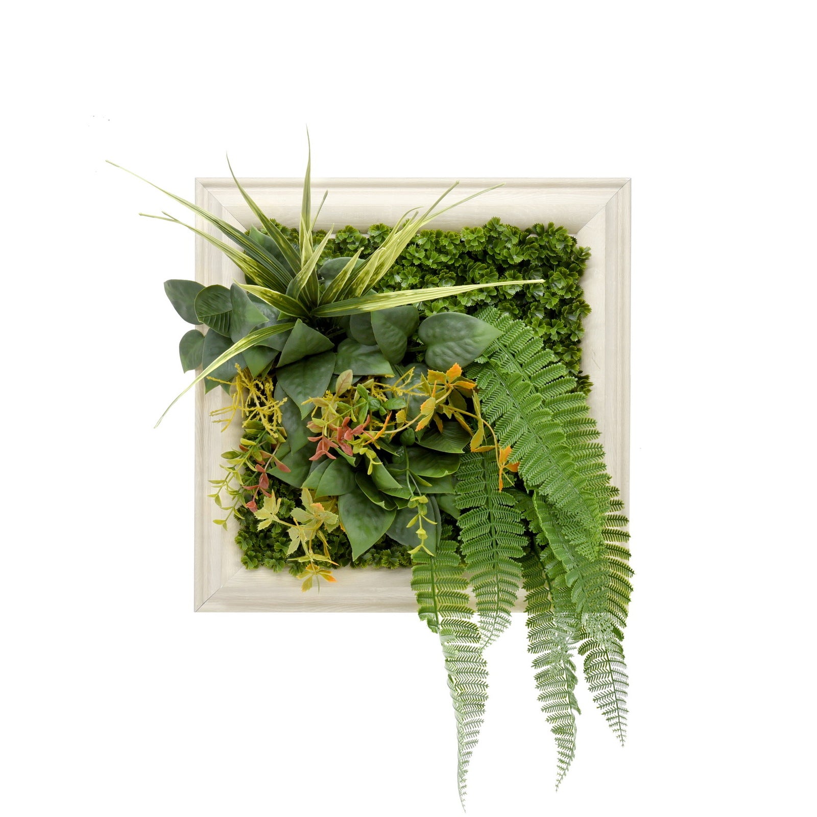 Artificial Green Wall Art Panel | White Frame | Cascading Foliage | 33x33cm