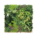 Artificial green wall with various types of plants on a white background