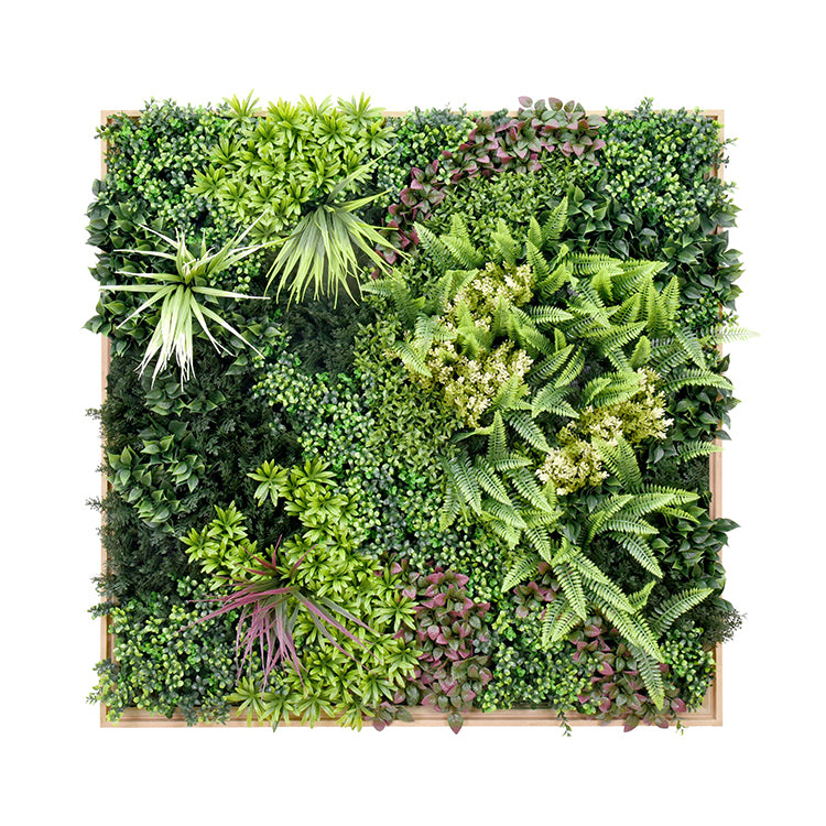 Artificial green wall with various types of plants on a white background