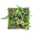 Artificial Green Wall Art Panel | Timber Frame | Lush Botanical | 50x50cm